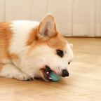 Bolinha Pet Inteligente - Rolamento Automático