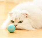 Bolinha Pet Inteligente - Rolamento Automático