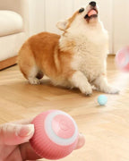 Bolinha Pet Inteligente - Rolamento Automático