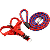 Vermelho e Azul/ Vermelho