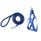 Kit Coleira Peitoral + Guia de Corda Reforçado – Passeios Confortáveis e Seguros!