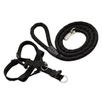 Kit Coleira Peitoral + Guia de Corda Reforçado – Passeios Confortáveis e Seguros!