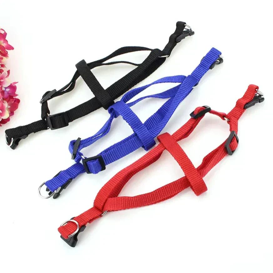 Kit Coleira Peitoral + Guia de Corda Reforçado – Passeios Confortáveis e Seguros!